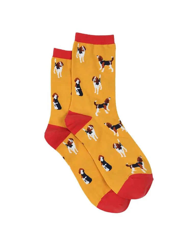 Sock Talk Beagle women's socks Gift Box set
